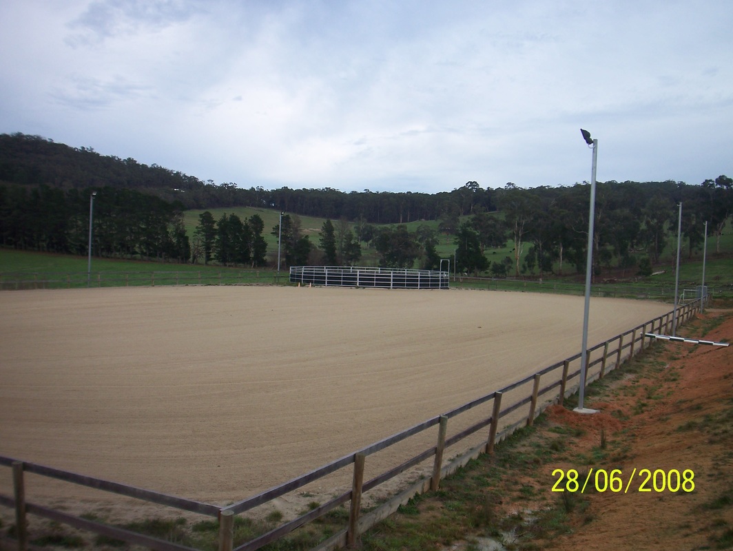Picture